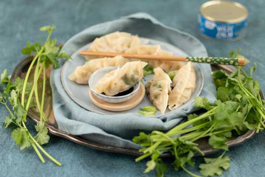 alaska seafood zalm gyoza-001