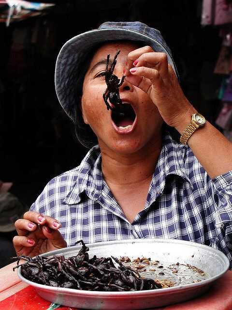 fried tarantula in phnomh penh cambodia - flickr CC Adam Cohn
