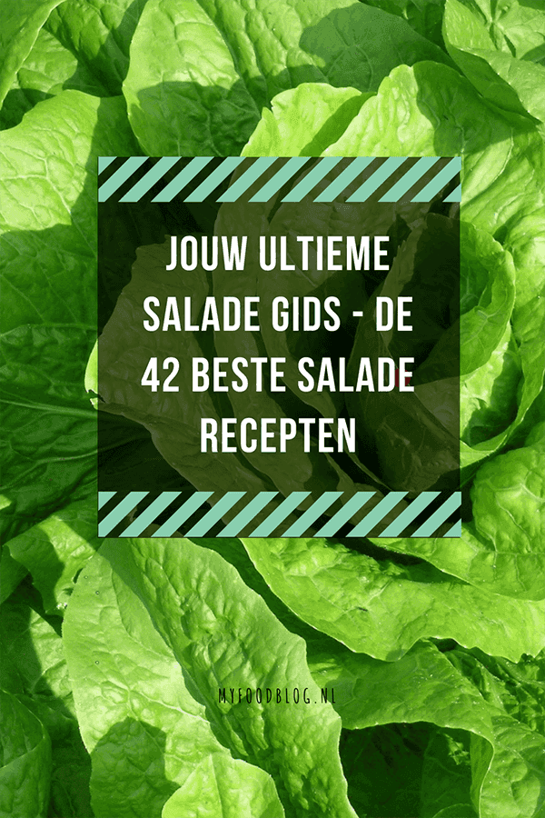 slade gids - de 42 beste salade recepten