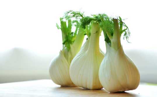 fennel-vegetables-fennel-bulb-food-159471