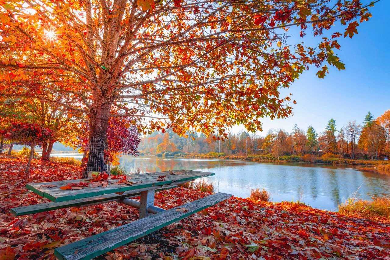Herfst