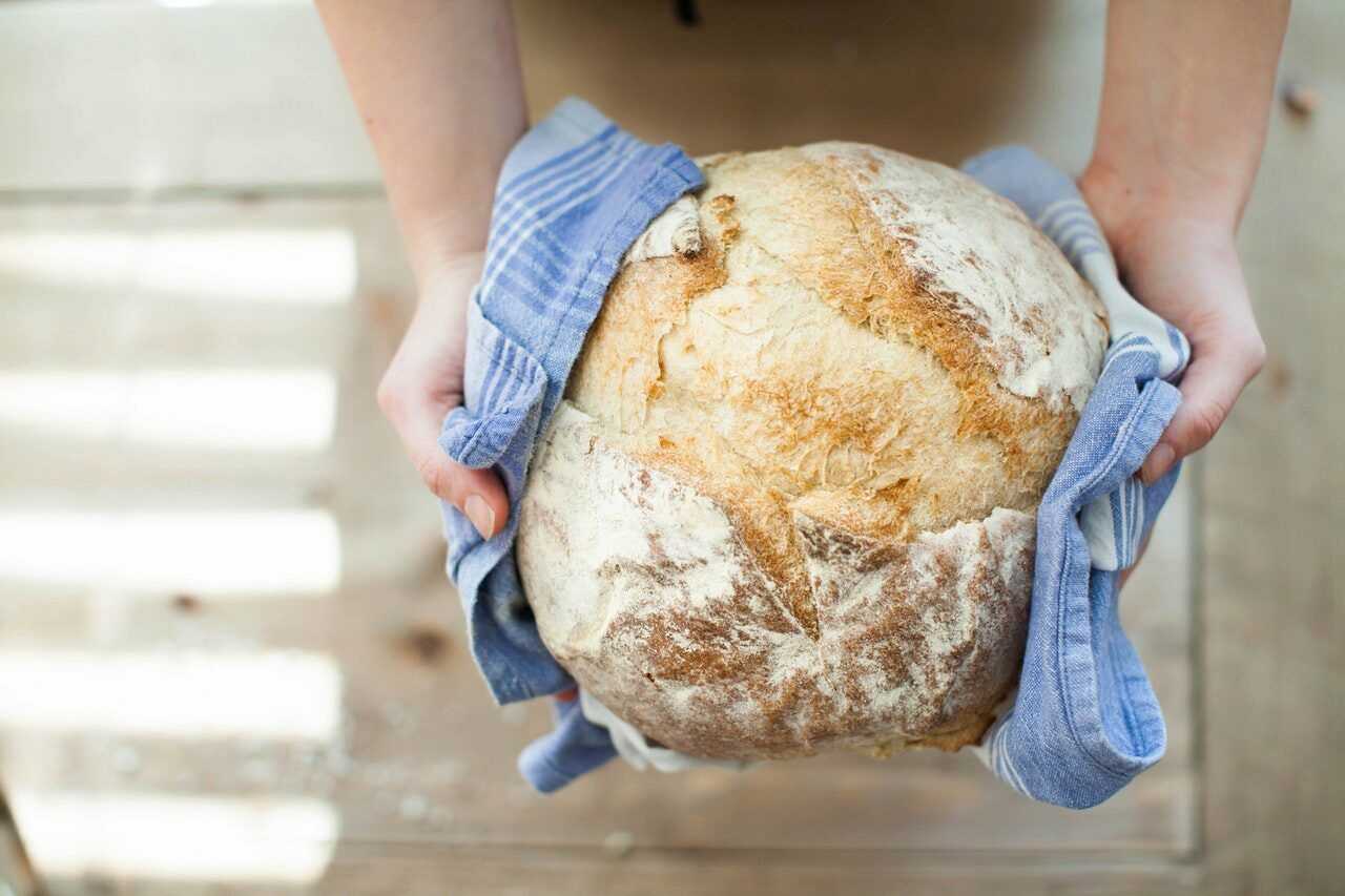 bread-food-fresh-hands-263168